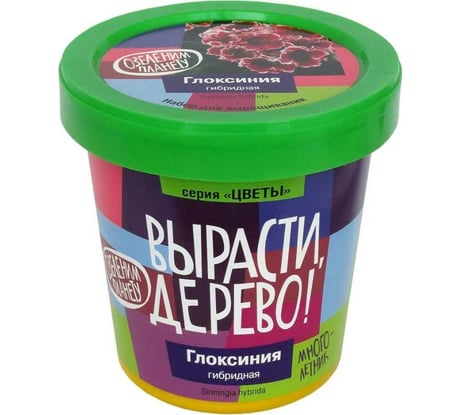 Набор для выращивания растений Вырасти,Дерево! Глоксиния гибридная zk-067