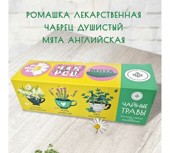 Набор для выращивания растений Plant Republic Чайные травы pr-021