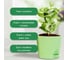Набор для выращивания растений Plant Republic Чайные травы pr-021 5