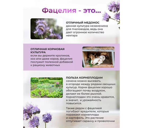 Семена Сила Суздаля Фацелия 5 кг 4680004064220
