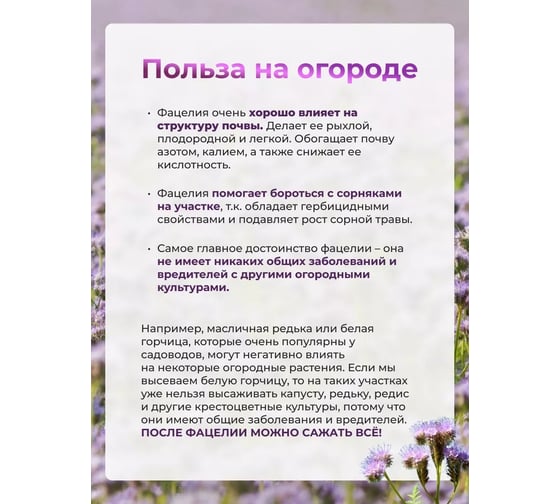 Семена Сила Суздаля Фацелия 5 кг 4680004064220