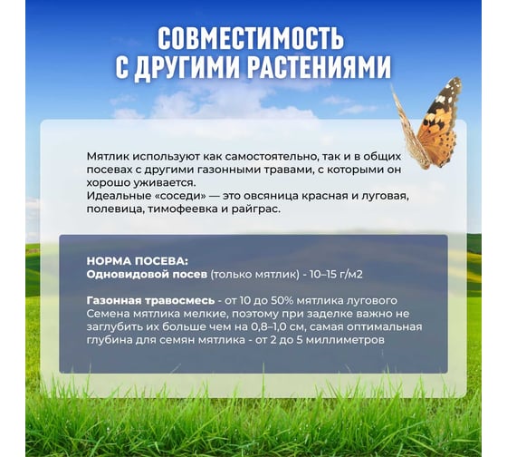 Семена Сила Суздаля Семена Мятлика 300 г 4680004061120