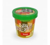 Набор для выращивания растений Вырасти,Дерево! Инжир zk-080