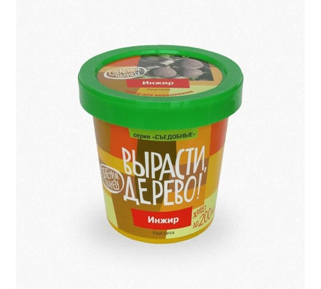 Набор для выращивания растений Вырасти,Дерево! Инжир zk-080