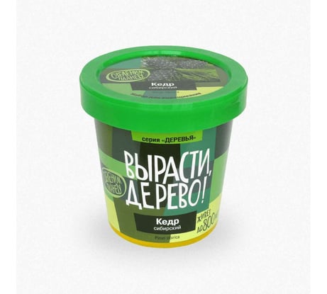 Набор для выращивания растений Вырасти,Дерево! Кедр сибирский zk-001