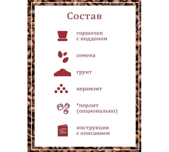 Набор для выращивания растений Вырасти,Дерево! Кофе арабский zk-012