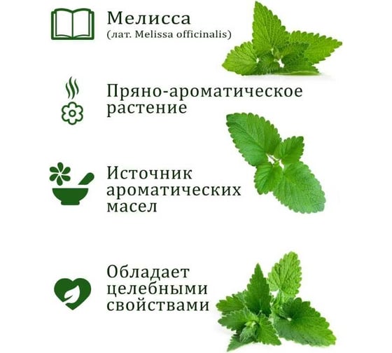 Набор для выращивания растений Вырасти,Дерево! Мелисса zk-035