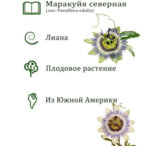 Набор для выращивания растений Вырасти,Дерево! Маракуйя северная zk-086