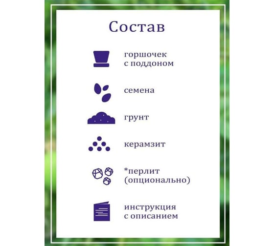 Набор для выращивания растений Вырасти,Дерево! Маракуйя северная zk-086