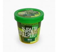 Набор для выращивания растений Вырасти,Дерево! Мята яблочная zk-093