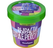 Набор для выращивания растений Вырасти,Дерево! Незабудка zk-125