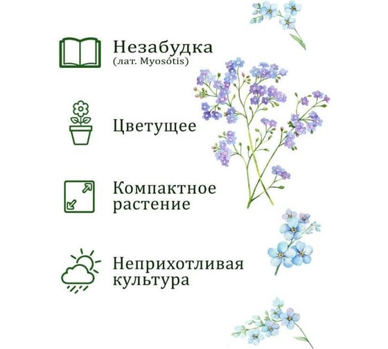 Набор для выращивания растений Вырасти,Дерево! Незабудка zk-125