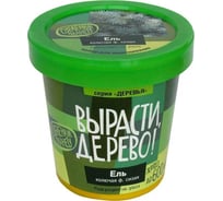 Набор для выращивания растений Вырасти,Дерево! Ель колючая сизая zk-004