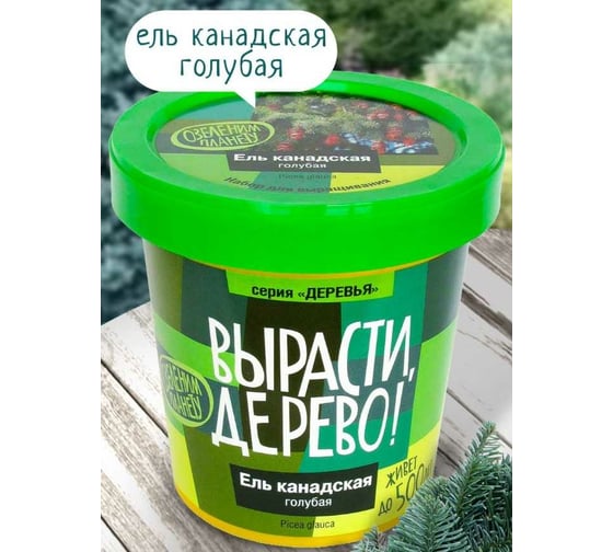 Набор для выращивания растений Вырасти,Дерево! Ель канадская голубая zk-048