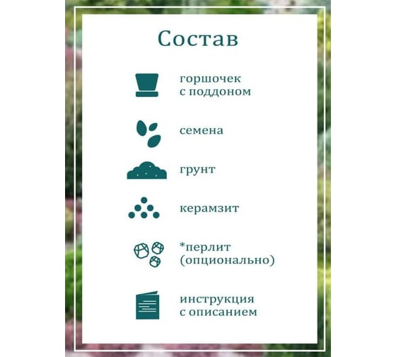 Набор для выращивания растений Вырасти,Дерево! Ель канадская голубая zk-048