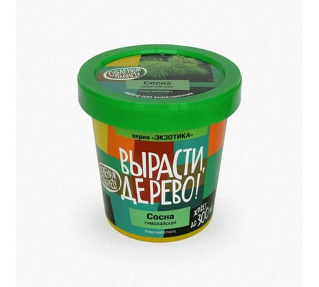 Набор для выращивания растений Вырасти,Дерево! Сосна гималайская zk-051