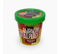 Набор для выращивания растений Вырасти,Дерево! Эвкалипт лимонный zk-094