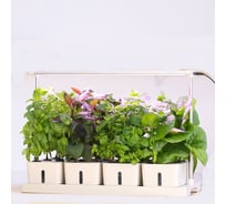 Интеллектуальная комбинированная плантация на 20 мест Green Helper с автополивом и умной подсветкой GZ306-20