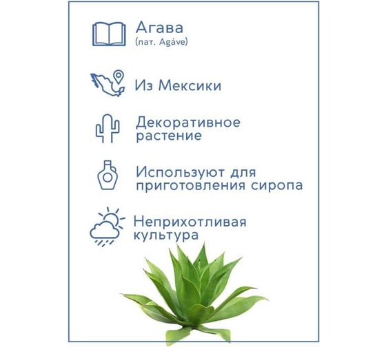 Набор для выращивания растений Тысяча Листьев Агава tl-025