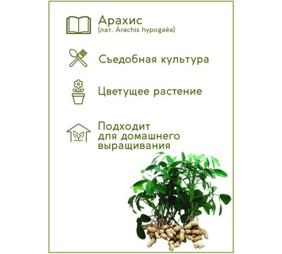 Набор для выращивания растений Тысяча Листьев Арахис tl-015