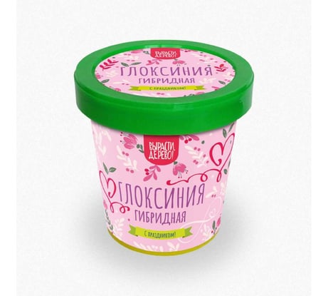 Подарочный набор для выращивания растений Вырасти,Дерево! Глоксиния гибридная zk-112