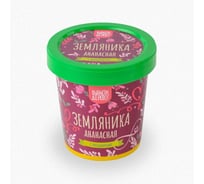 Подарочный набор для выращивания растений Вырасти,Дерево! Земляника ананасная zk-114