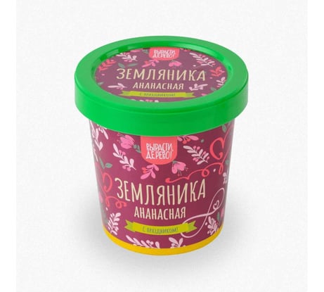 Подарочный набор для выращивания растений Вырасти,Дерево! Земляника ананасная zk-114