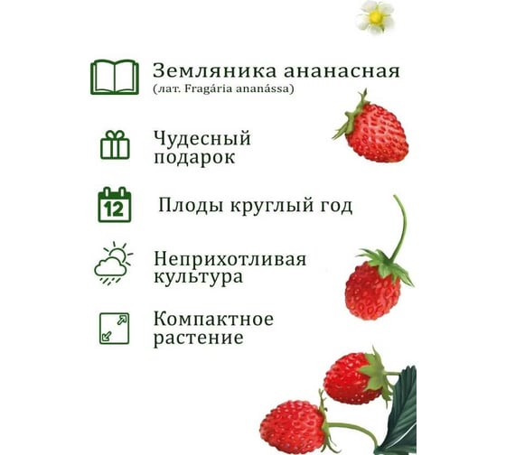 Подарочный набор для выращивания растений Вырасти,Дерево! Земляника ананасная zk-114