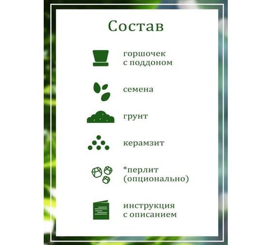 Подарочный набор для выращивания растений Вырасти,Дерево! Земляника ананасная zk-114