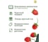 Подарочный набор для выращивания растений Вырасти,Дерево! Земляника ананасная zk-114 3