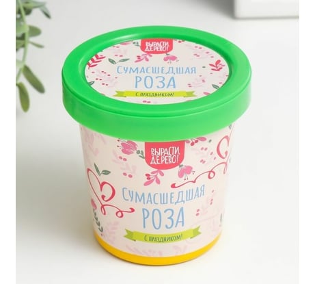 Подарочный набор для выращивания растений Вырасти,Дерево! Сумасшедшая роза zk-119