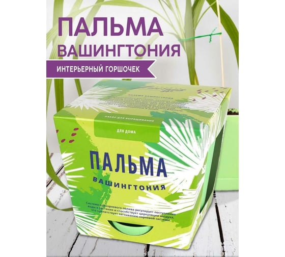 Набор для выращивания растений Тысяча листьев Пальма Вашингтония tl-013