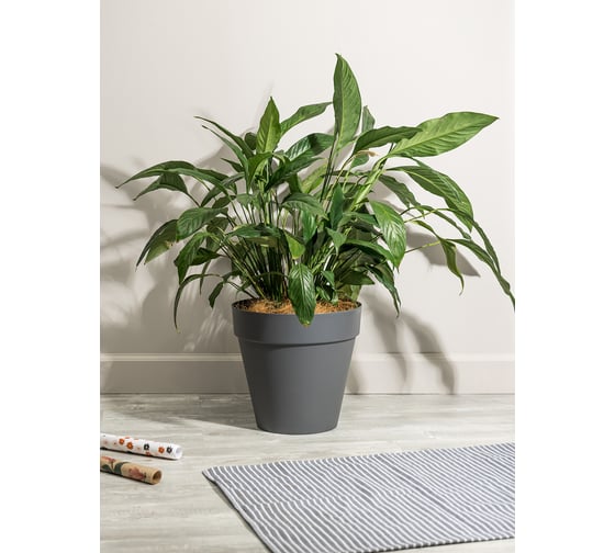 Горшок для цветов Idiland tarragon диам. 310 мм, 14 л, со вставкой, серый 221610735/01