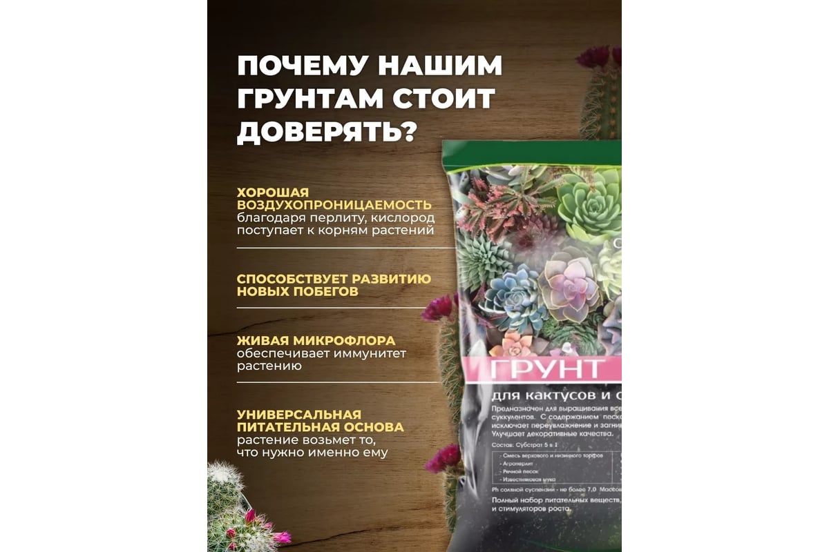 Грунт Сила Суздаля Кактусы и Cуккуленты Black, 10 л 4680004064718 -  выгодная цена, отзывы, характеристики, 1 видео, фото - купить в Москве и РФ