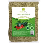 Семена газона ГазонCity Овсяница 100% 0.3 кг 201078
