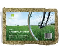 Семена газона ГазонCity эконом Универсальный 0.5 кг 201045