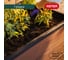 Кашпо-грядка для растений Keter Maple green house коричневый 249295 7