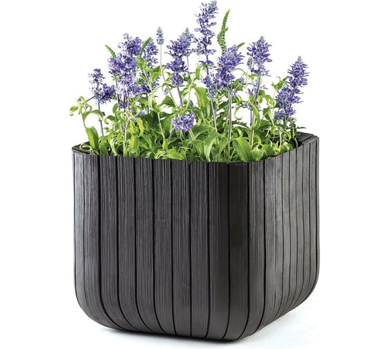 Кашпо Keter CUBE PLANTER L, 50,5л графит 230225 1
