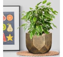 Настольное кашпо Idealist Lite Геометри Круглое, золотистое DROUND23-GLD