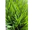 Зерно Сила Суздаля Овёс 5 кг 4680004063803 9