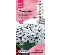 Семена Агросидстрейд Петуния Трилоджи Сильвер Блотч 5 шт. АСТ 126502
