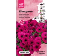 Семена Агросидстрейд Петуния Трилоджи Пурпл 5 шт. АСТ 126499