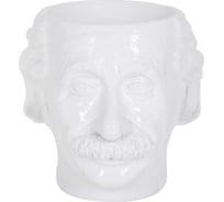 Кашпо для цветов голова мужчины BOGACHO Эйнштейн белого цвета 22722/белый