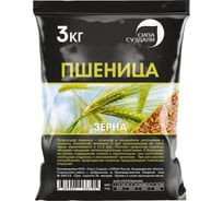 Семена Сила Суздаля Пшеница 3 кг 4680004066712