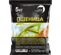Семена Сила Суздаля Пшеница 5 кг 4680004063797