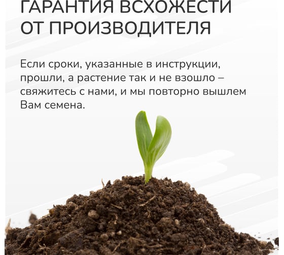 Набор для создания бонсай Сад Радости сосна японская sr-006