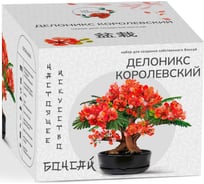 Набор для создания бонсай Сад Радости делоникс королевский sr-007
