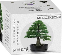 Набор для создания Сад Радости бонсай метасеквойя sr-003
