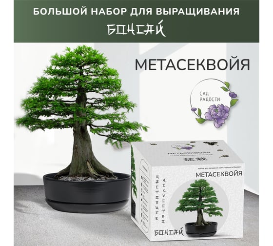 Набор для создания Сад Радости бонсай метасеквойя sr-003