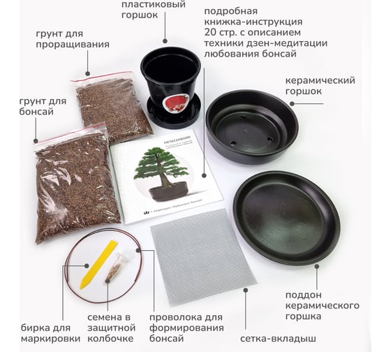 Набор для создания Сад Радости бонсай метасеквойя sr-003